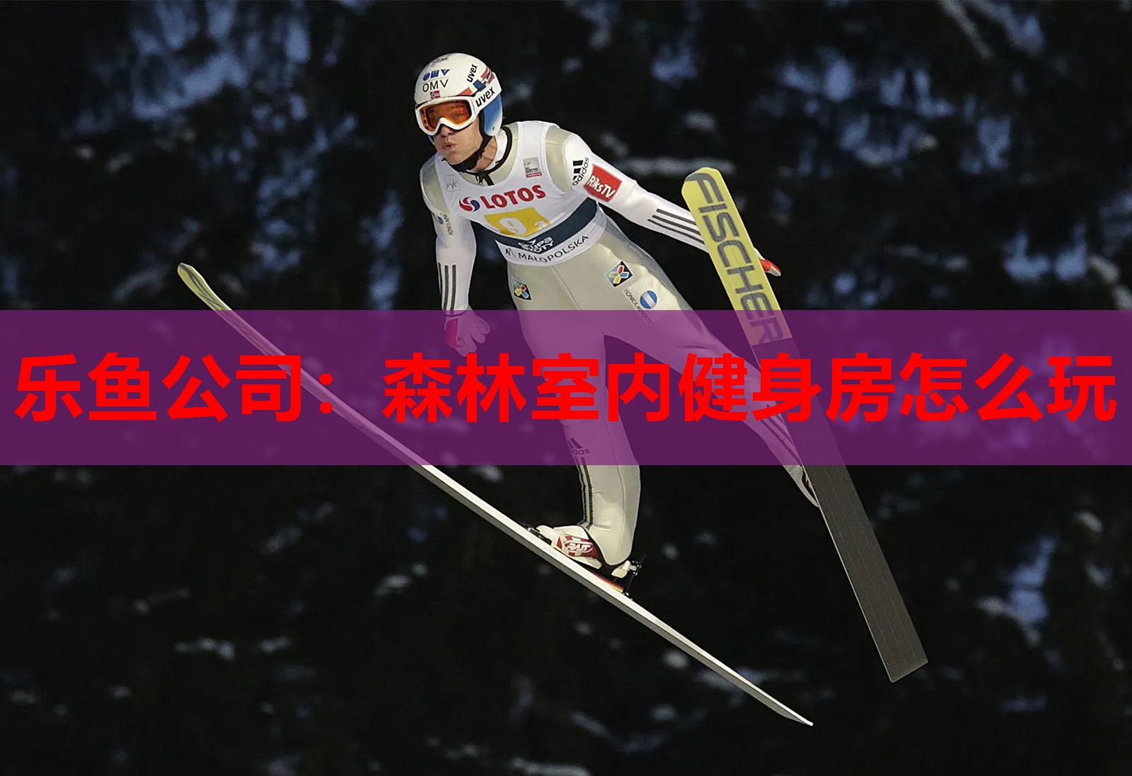 乐鱼公司：森林室内健身房怎么玩