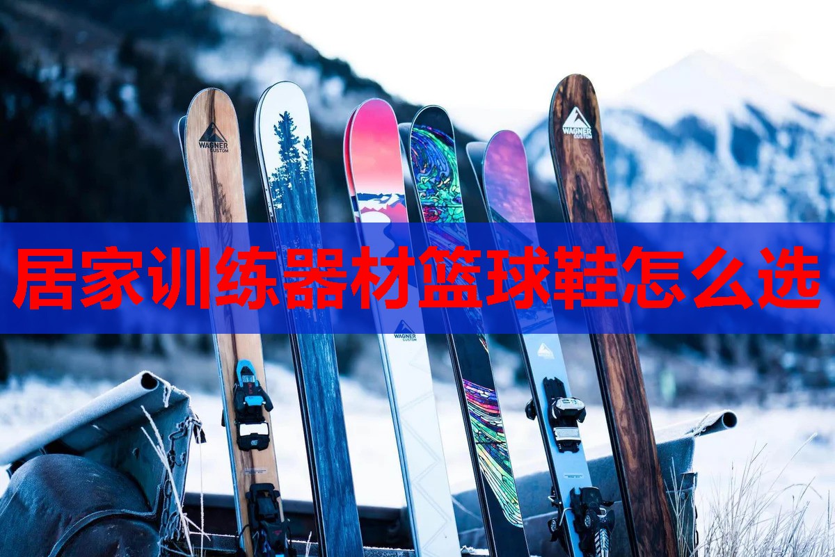 居家训练器材篮球鞋怎么选