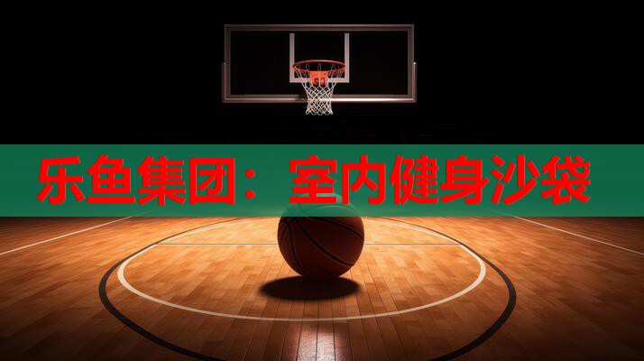 乐鱼集团：室内健身沙袋