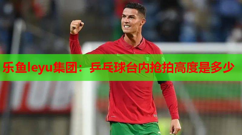 乐鱼leyu集团：乒乓球台内抢拍高度是多少