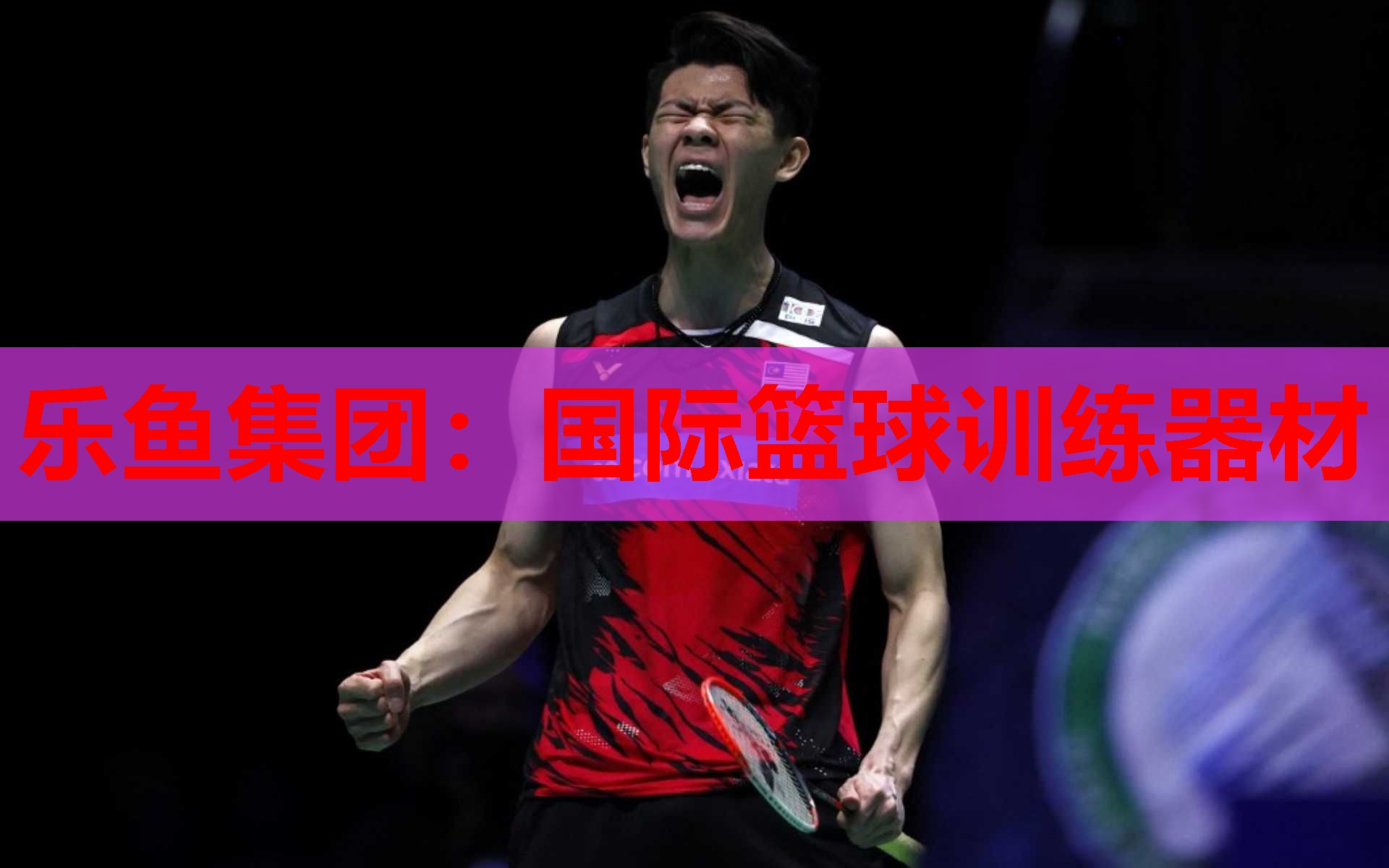 乐鱼集团：国际篮球训练器材