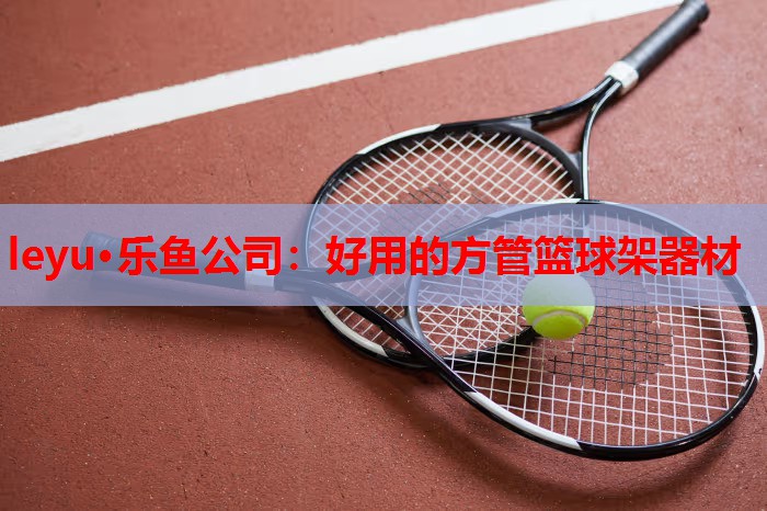 leyu·乐鱼公司：好用的方管篮球架器材