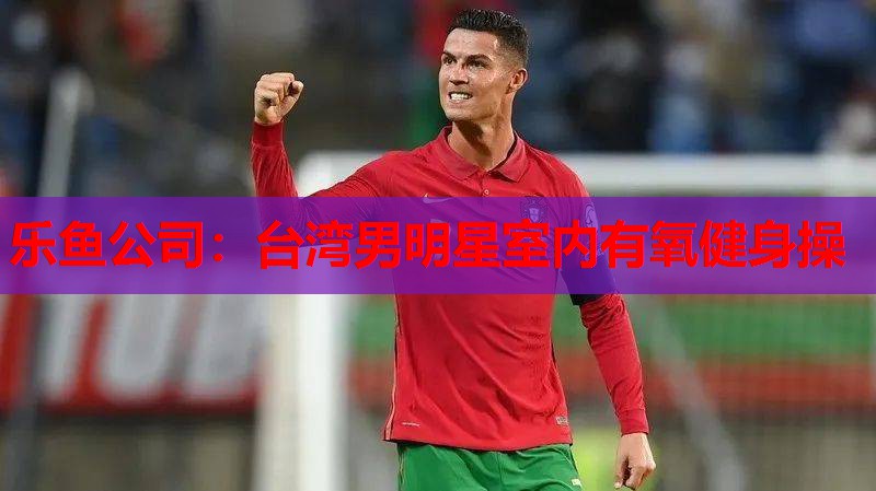 乐鱼公司：台湾男明星室内有氧健身操