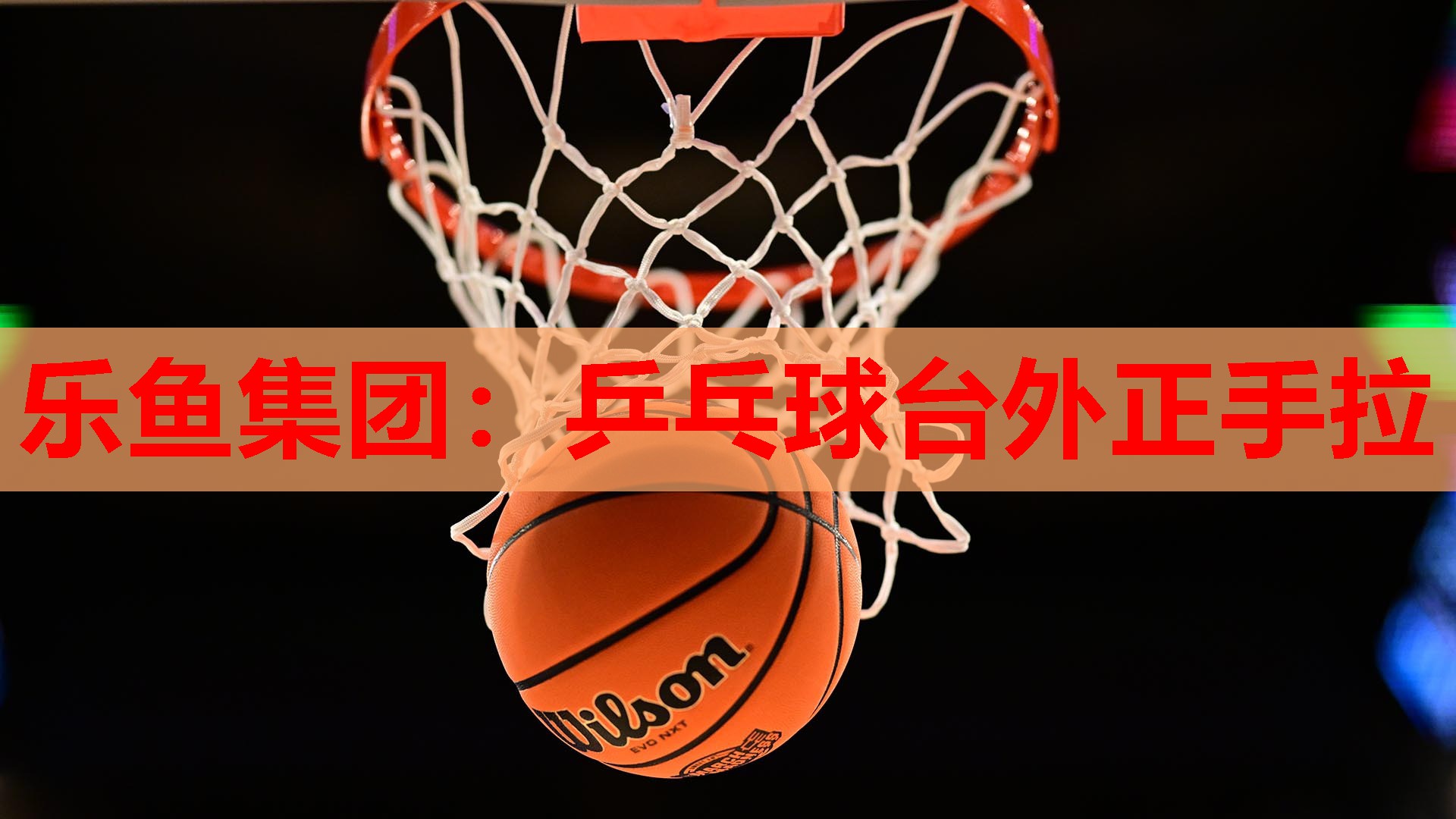 乐鱼集团：乒乓球台外正手拉