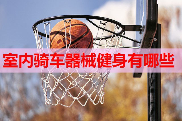室内骑车器械健身有哪些