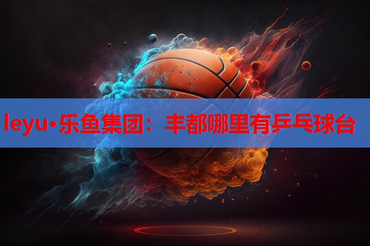 leyu·乐鱼集团：丰都哪里有乒乓球台
