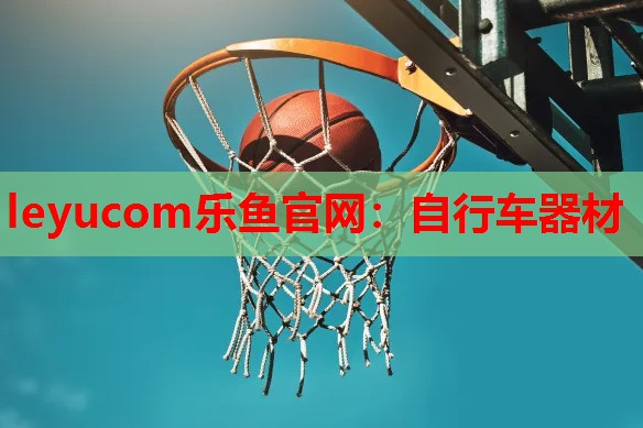 leyucom乐鱼官网：自行车器材