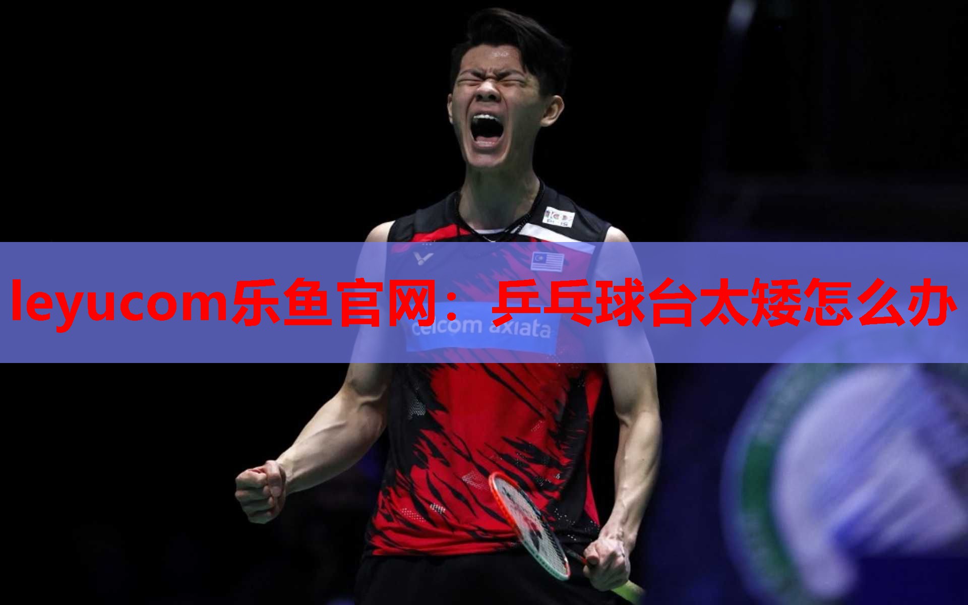 leyucom乐鱼官网：乒乓球台太矮怎么办