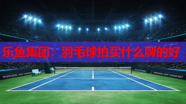 乐鱼集团：羽毛球拍买什么牌的好