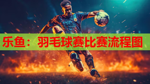 乐鱼：羽毛球赛比赛流程图
