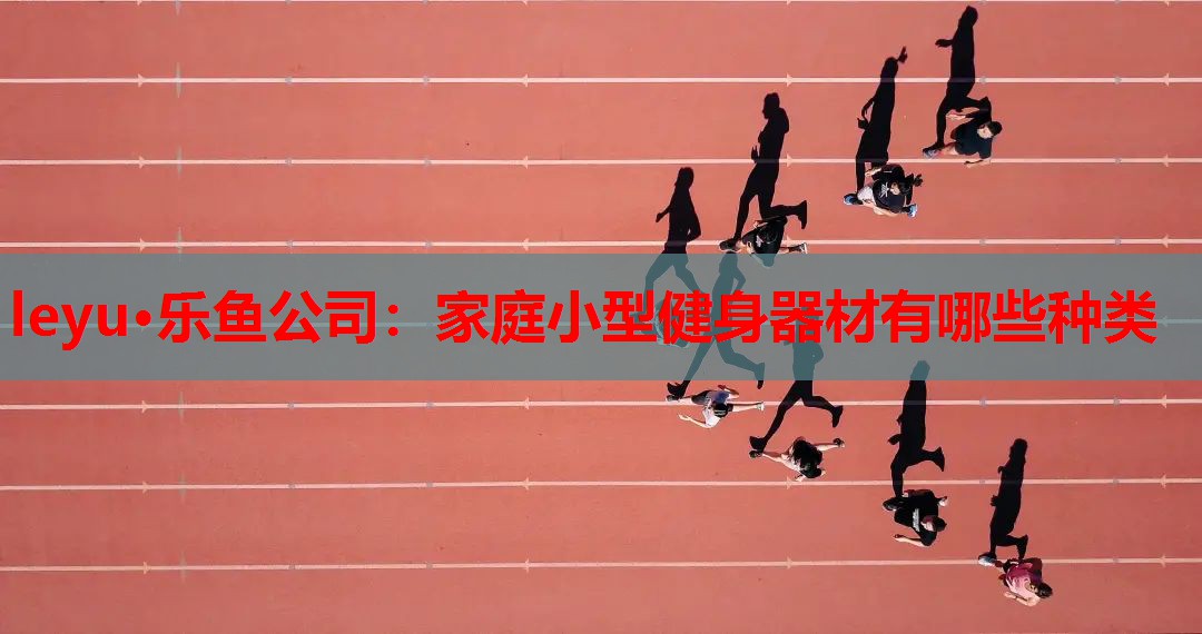 leyu·乐鱼公司：家庭小型健身器材有哪些种类