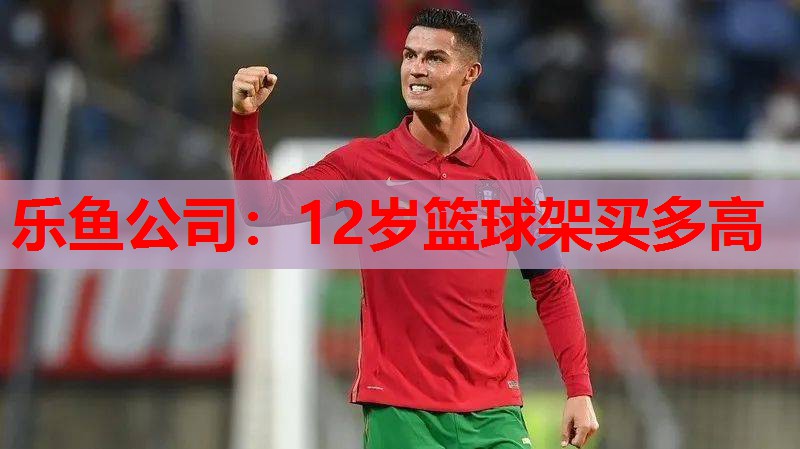 乐鱼公司：12岁篮球架买多高