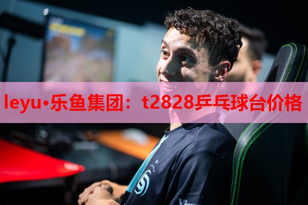 leyu·乐鱼集团：t2828乒乓球台价格