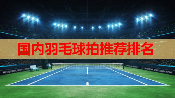 国内羽毛球拍推荐排名