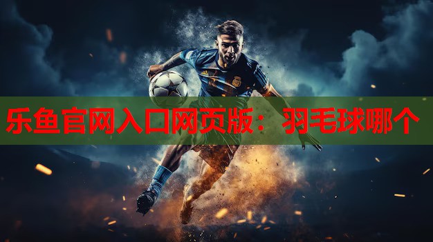 乐鱼官网入口网页版：羽毛球哪个
