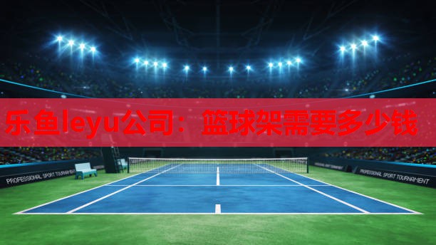 乐鱼leyu公司：篮球架需要多少钱