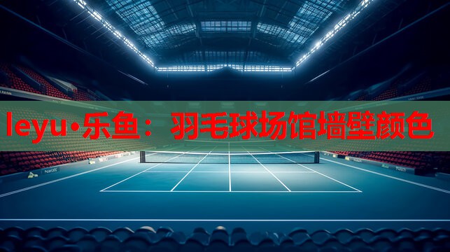leyu·乐鱼：羽毛球场馆墙壁颜色