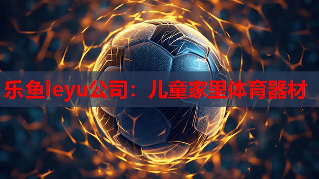 乐鱼leyu公司：儿童家里体育器材