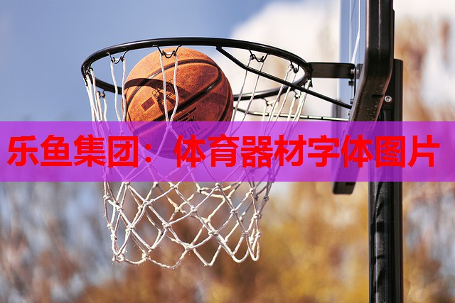 乐鱼集团：体育器材字体图片