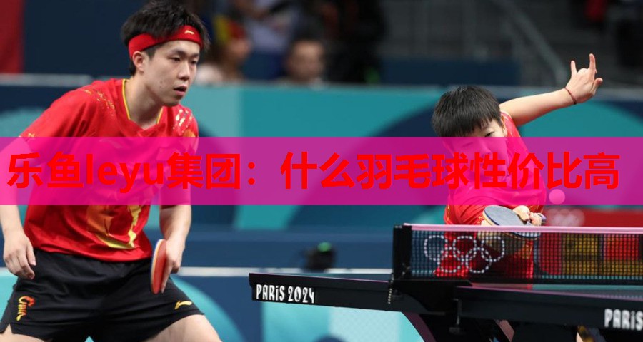 乐鱼leyu集团：什么羽毛球性价比高