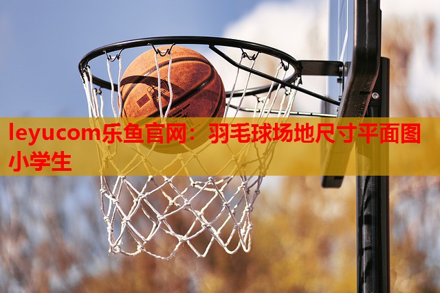 leyucom乐鱼官网：羽毛球场地尺寸平面图小学生