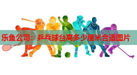 乐鱼公司：乒乓球台高多少厘米合适图片