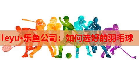 leyu·乐鱼公司：如何选好的羽毛球