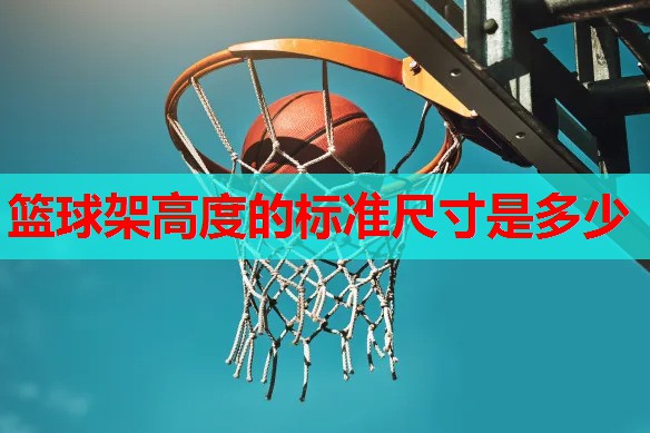 篮球架高度的标准尺寸是多少