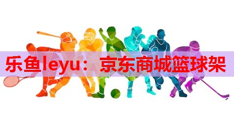 乐鱼leyu：京东商城篮球架