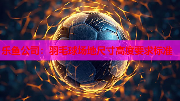 乐鱼公司：羽毛球场地尺寸高度要求标准