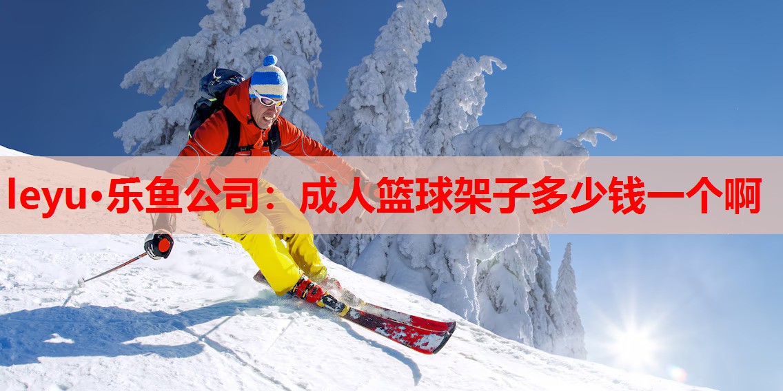 leyu·乐鱼公司：成人篮球架子多少钱一个啊