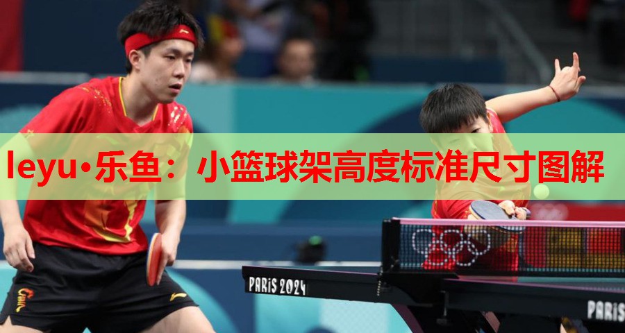leyu·乐鱼：小篮球架高度标准尺寸图解