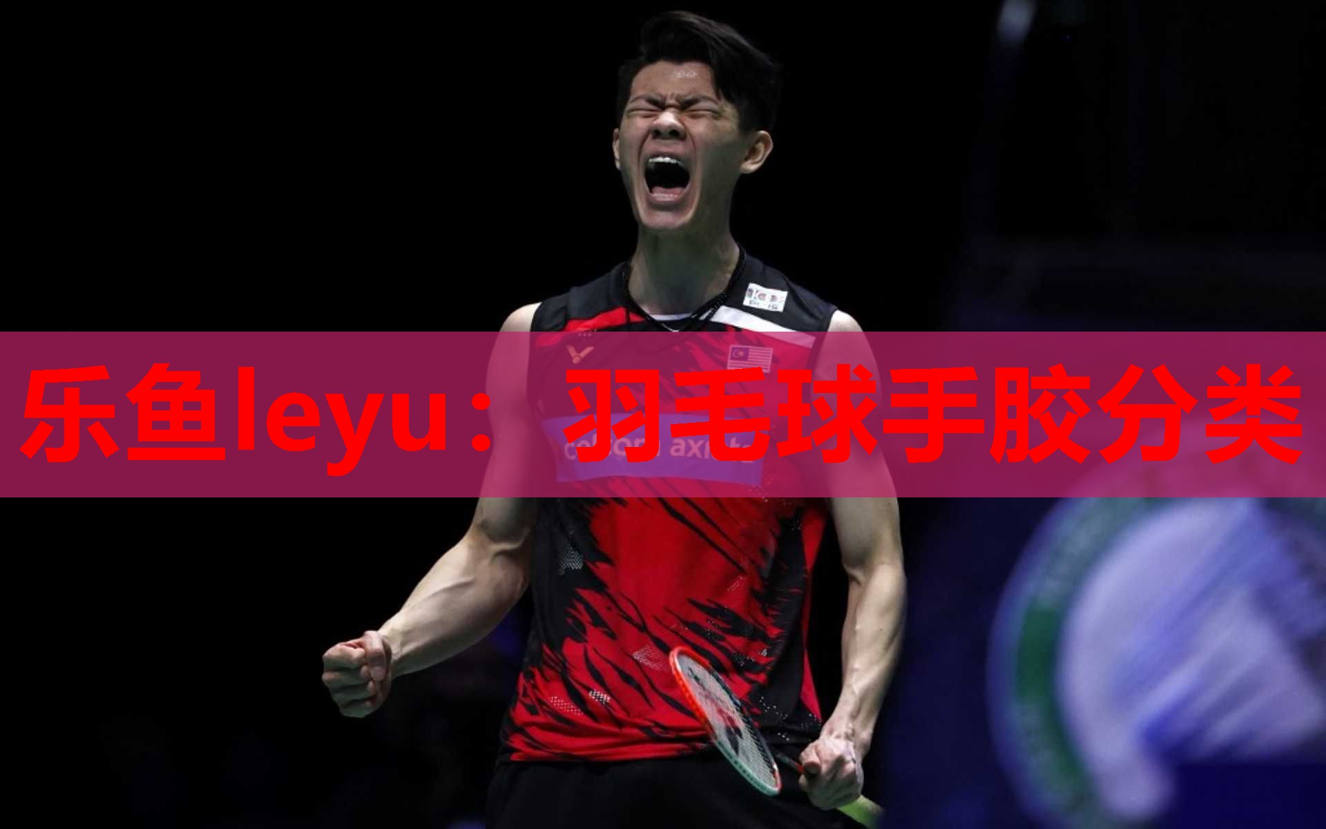 乐鱼leyu：羽毛球手胶分类