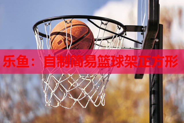 乐鱼：自制简易篮球架正方形