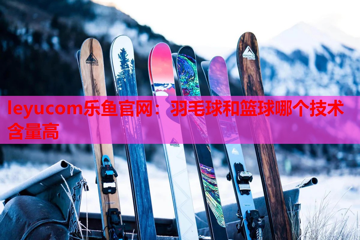 leyucom乐鱼官网：羽毛球和篮球哪个技术含量高