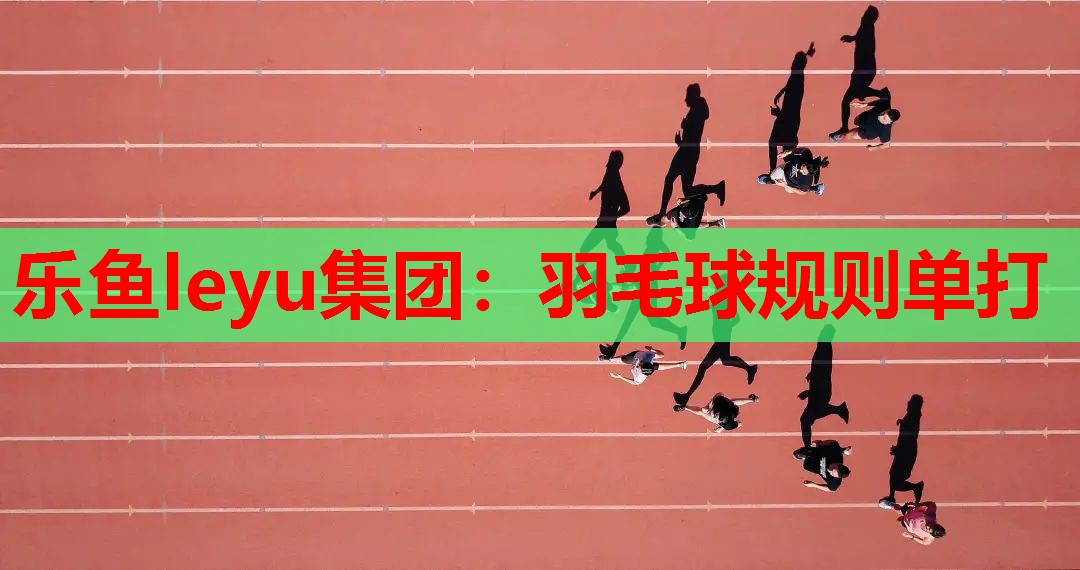 乐鱼leyu集团：羽毛球规则单打
