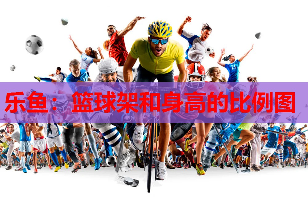 乐鱼：篮球架和身高的比例图