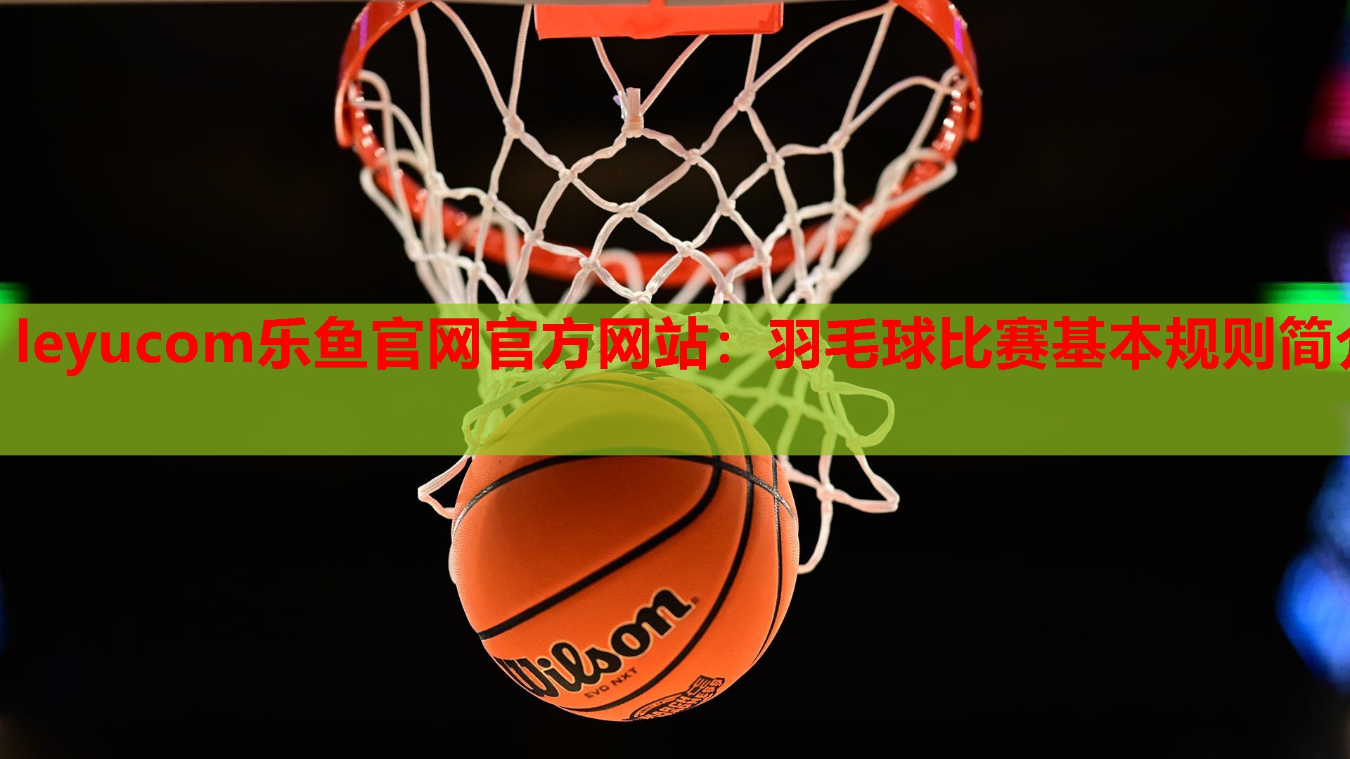 leyucom乐鱼官网官方网站：羽毛球比赛基本规则简介