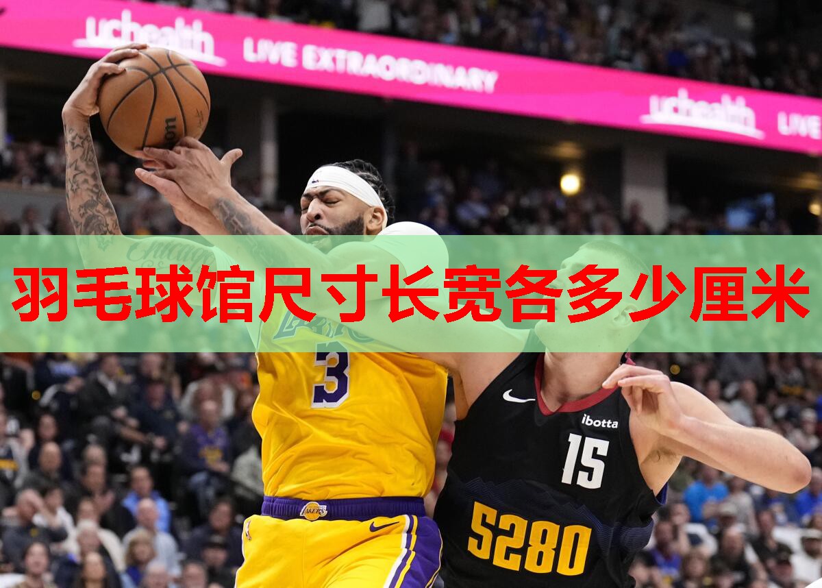 羽毛球馆尺寸长宽各多少厘米