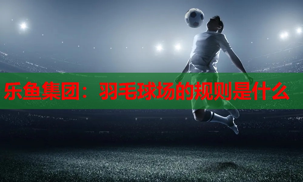 乐鱼集团：羽毛球场的规则是什么
