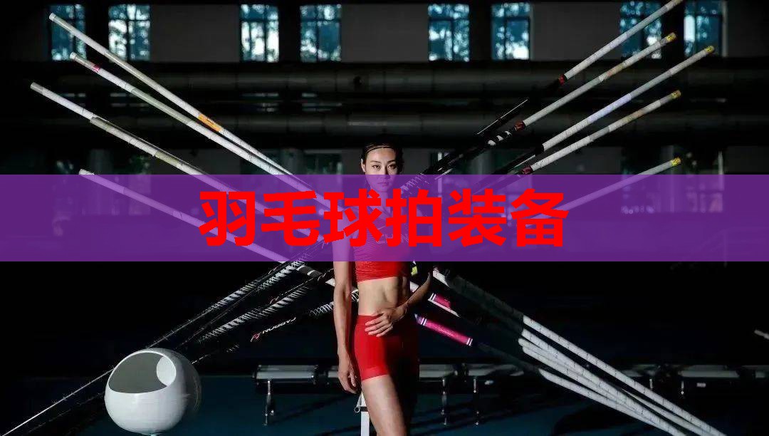 羽毛球拍装备
