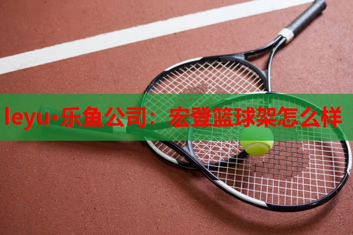 leyu·乐鱼公司：宏登篮球架怎么样