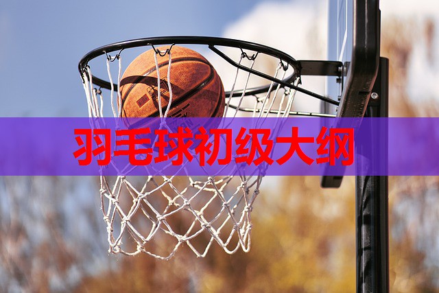 羽毛球初级大纲