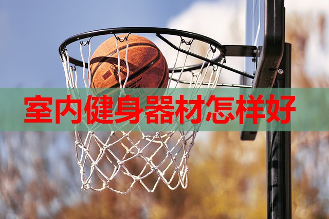 室内健身器材怎样好 室内健身器材怎样好