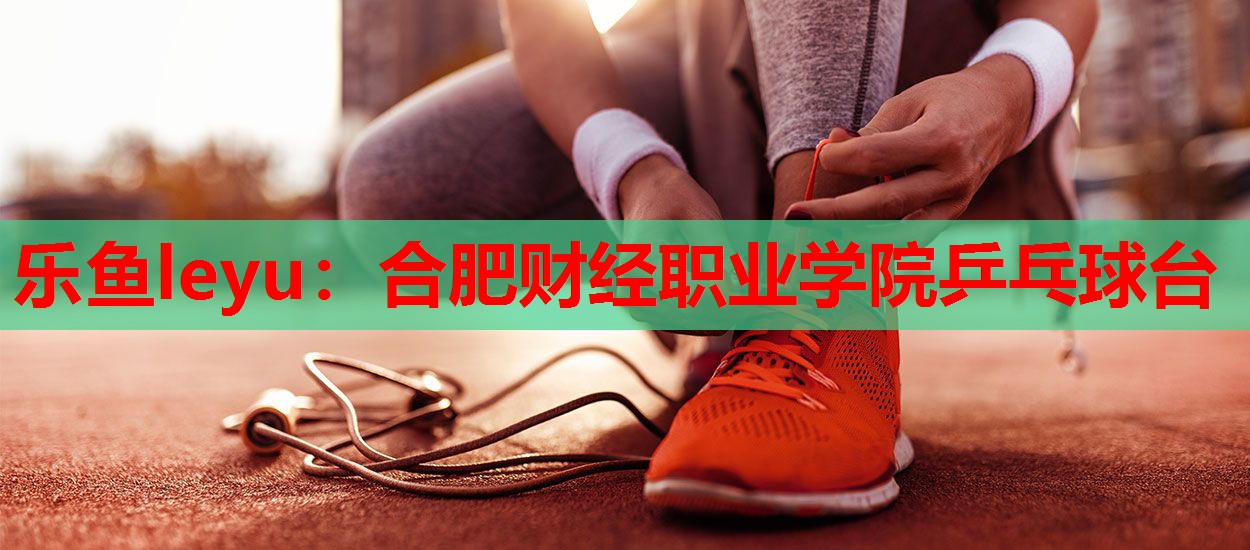 合肥财经职业学院乒乓球台 合肥财经职业学院乒乓球台