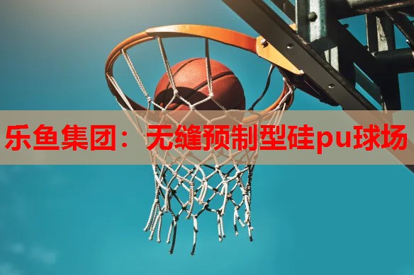 无缝预制型硅pu球场 无缝预制型硅pu球场