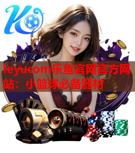 小篮球必备器材 小篮球必备器材
