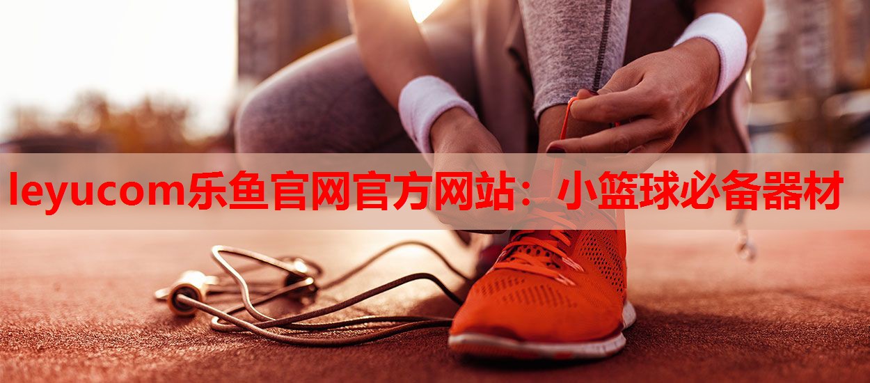 小篮球必备器材 小篮球必备器材