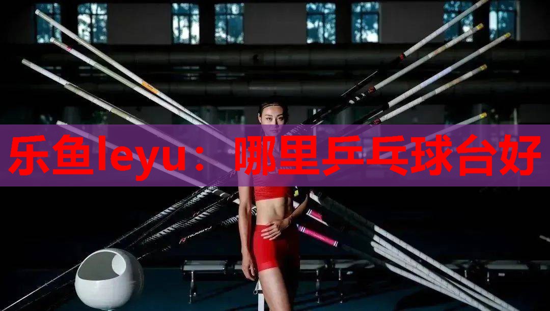 哪里乒乓球台好