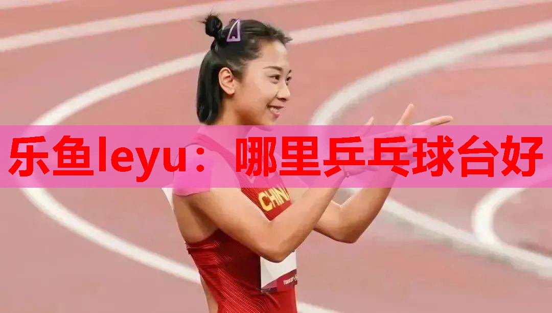哪里乒乓球台好